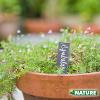 Étiquette à Planter en Ardoise Naturelle - H15 x 3 cm par 5 Nature