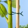 Lien Plastique Vert Armé en Bobine de 100 m Nature